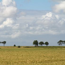 Hogeland sur Dolf Siebert