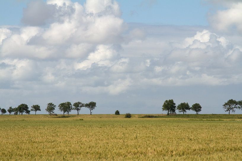 Hogeland von Dolf Siebert