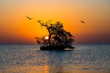 Zonsopkomst Egypte, sunris Egypte 2 van Corrine Ponsen
