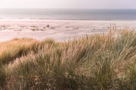 Dunes and sea (Terschelling) by Alessia Peviani