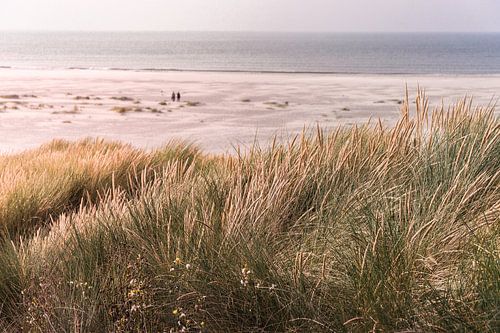 Dunes and sea (Terschelling)