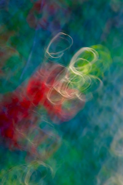 Colours of spring by Thomas Jäger