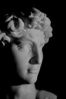 Le David de Michel-Ange : un chef-d'œuvre iconique en noir et blanc