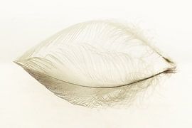 The Unbearable Lightness of Seeing by LJB Anders