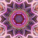 Mandala in roze van Sabine Wagner thumbnail