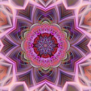 Mandala in rosa