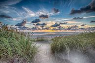 Summer Beach - Hollandse Duinen van Alex Hiemstra thumbnail