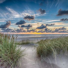 Summer Beach - Hollandse Duinen van Alex Hiemstra