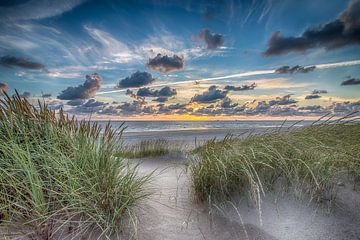 Summer Beach - Hollandse Duinen van Alex Hiemstra