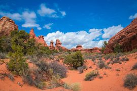 Herrliche Aussicht auf Garten des Teufels im Arches NP von Rietje Bulthuis