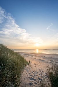 Chemin de dunes vers la plage d'Ouddorp au coucher du soleil