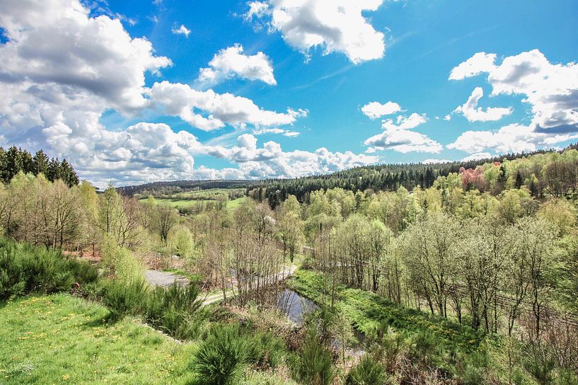 Mein Garten von Thomas Depauw