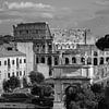Das Kolosseum in Rom schwarz und weiß von Anton de Zeeuw