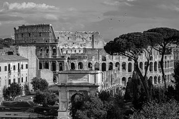 Le Colisée de Rome en noir et blanc sur Anton de Zeeuw