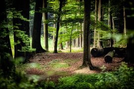 Die Bekendelle bei Winterswijk