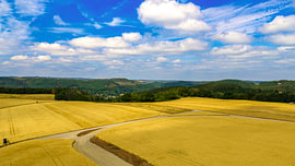 Goldgelbe Getreidefelder in der Eifel aus der Vogelperspektive von Hans Boutkan