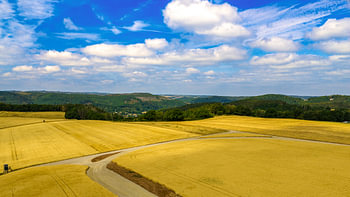 Golden-yellow grain fields in the Eifel, seen from the air