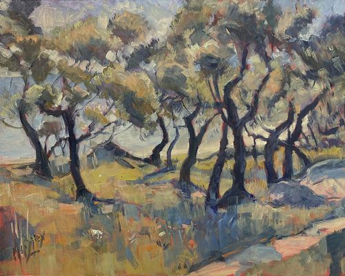 Olijfbomen langs Kipos Strand