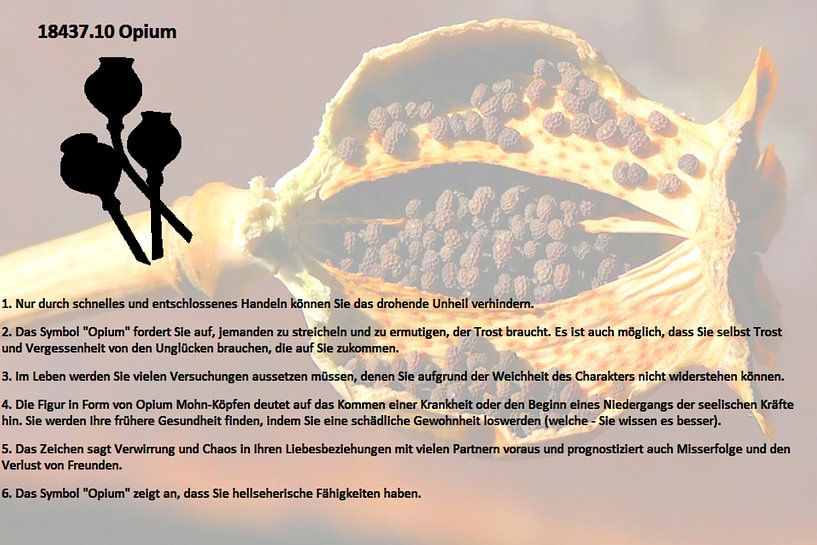 Opium 18437.10 von Vladimir Zykunov