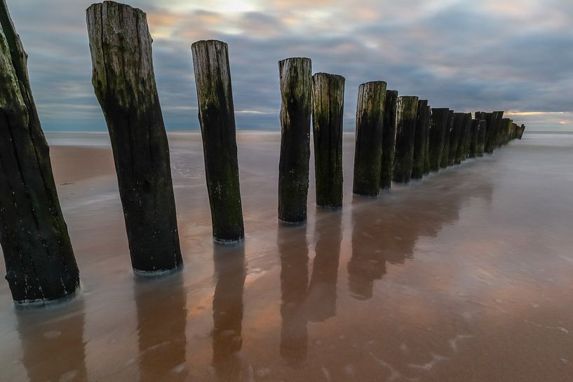 Palen spiegeling by peterheinspictures