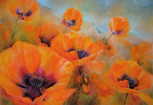 Red poppies by Annette Schmucker