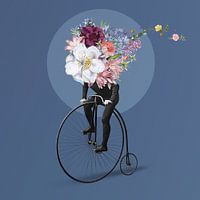 The Bike Ride