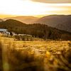 Gouden zonsondergang op de Ballon d'Alsace | Vogezen, Frankrijk - Landschapsfotografie van Merlijn Arina Photography