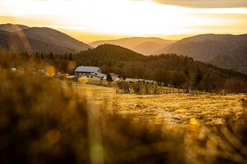 Goldener Sonnenuntergang auf dem Ballon d'Alsace | Vogesen, Frankreich - Landschaftsfotografie von Merlijn Arina Photography