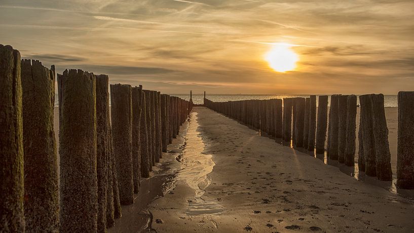 sunset at salt country by anne droogsma