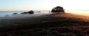 Panorama de Valeberg Ede sur Photo 4u