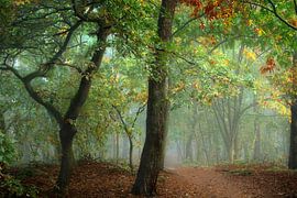 Misty Morning II by Kees van Dongen