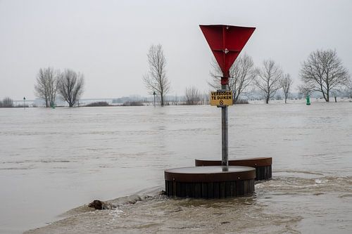 IJssel bij hoog water