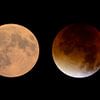 Lunar Eclipse in three stages by Sjoerd van der Wal