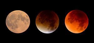 Lunar Eclipse in three phases