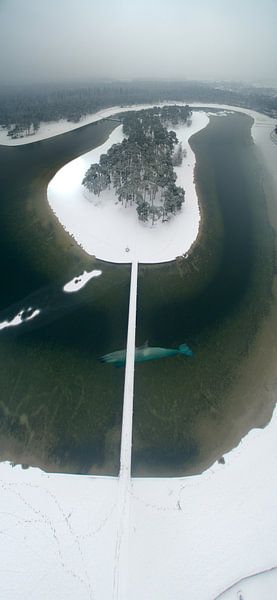Orca by Bart Houx