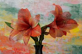 Rode amaryllis bloemen met kleurrijke linnen structuur achtergrond