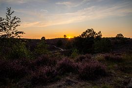 Posbank Rheden by Bianca Bot