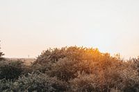 The lighthouse of Ouddorp (horizontal)