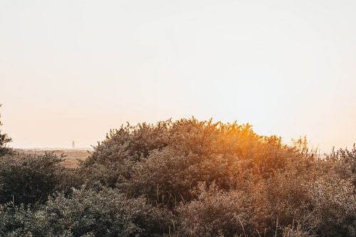 De vuurtoren van Ouddorp (horizontaal)