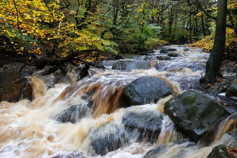 Burbage Brook in Full Spate, Padley Gorge, UK by Imladris Images