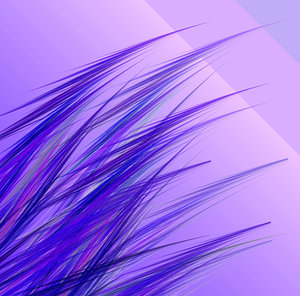 lilac grass