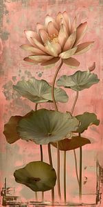Lotus sur fond vieux rose