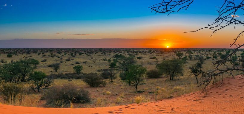 Mooie zonsopkomst in de Kalahari woestijn, Namibië van Rietje Bulthuis