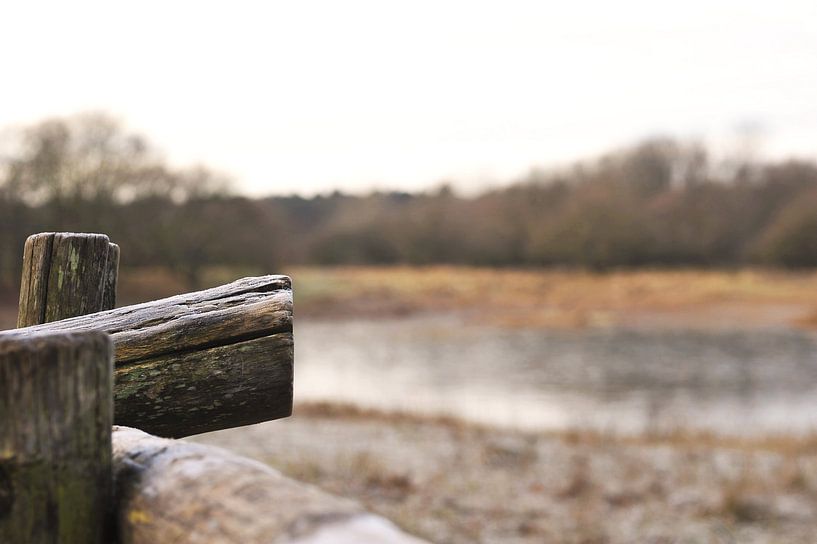 Houten hek par Agnes Meijer