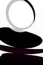 Balance in black and white by Christine Bässler thumbnail