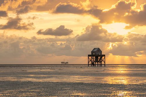 Close up van de vogelwachtpost op de Engelsmanplaat