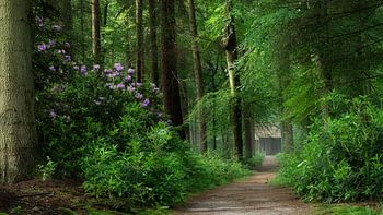 Paleispark Het Loo Apeldoorn