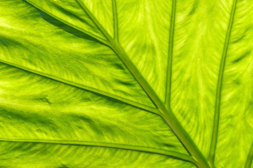 Vue détaillée par Andreas Kilian