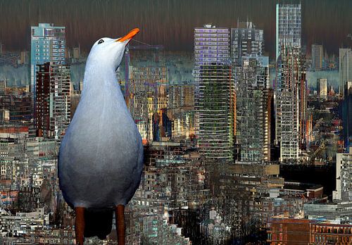 Möwe wacht über Rotterdam