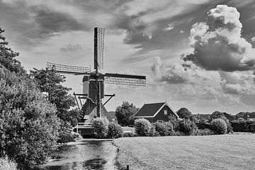 Woman Vennemolen in old ade